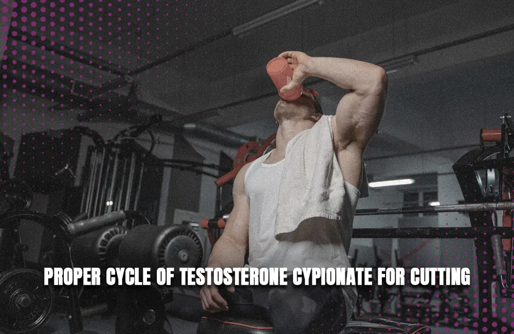 Testosterone Cypionate proper cutting cycle
