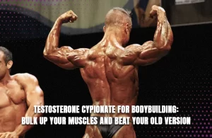 Read more about the article Testosterone Cypionate for Bodybuilding: Bulk up Your Muscles and Beat Your Old Version
