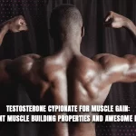 Testosterone Cypionate for Muscle Gain: Efficient Muscle Building Properties and Awesome Results