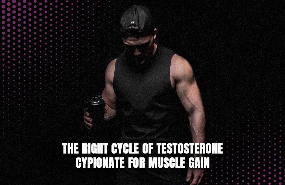 Testosterone Cypionat right cycle